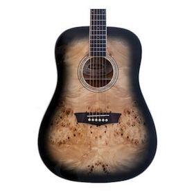 Washburn Deep Forest Burl Black Fade Akustik Gitar