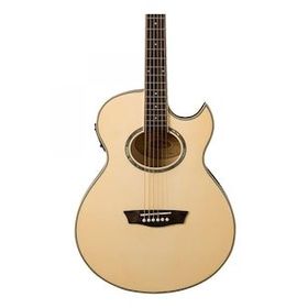 Washburn EA20 Elektro Akustik Gitar