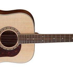 Washburn HD10S Akustik Gitar