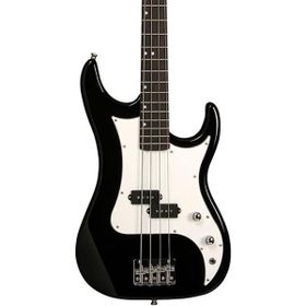 Washburn SB1PB Sonamaster Bas Gitar