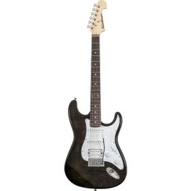 Washburn SDFTB Sonamaster Deluxe Elektro Gitar