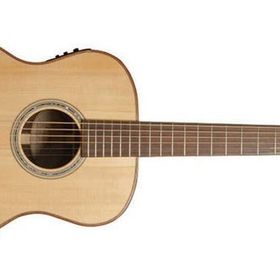 Washburn WCG10SENS Akustik Gitar