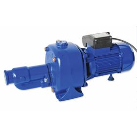 Water Sound JDP-750B M/80 Termik Korumalı Jet Pompa