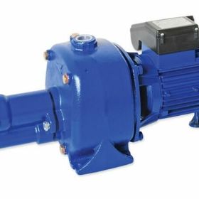 Water Sound JDP-750B M/80 Termik Korumalı Jet Pompa