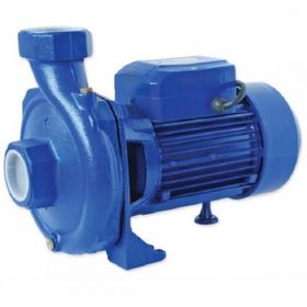 Water WS-10 Tek Kademeli Santrifüj Pompa