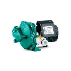 Water WS-22 Elektronik Siviçli Sıcak Su Pompası