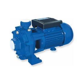 Water WS-30 Krom Milli Çift Kademeli Pompa