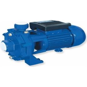 Water WS-30 Krom Milli Çift Kademeli Pompa