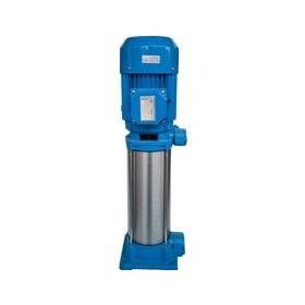 Water WS-309 Dik Milli 6 Kademeli Pompa