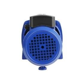 Water WS-43 Jet 100L Döküm Gövdeli Pompa