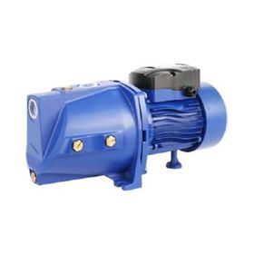 Water WS-43 Jet 100L Döküm Gövdeli Pompa