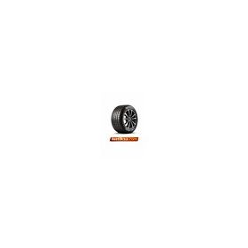 Waterfall 205/55 R17 95W XL Eco Dynamic Yaz Lastiği 2026