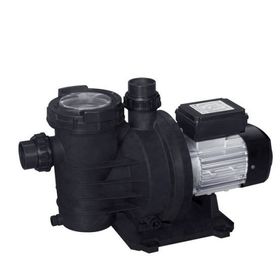 WaterFun Senkron-1 0.75 Hp 220 V Havuz Pompası