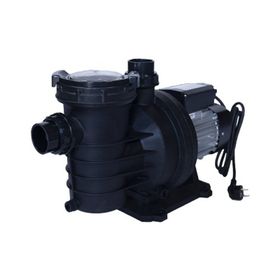 WaterFun Senkron-1 0.75 Hp 220 V Havuz Pompası