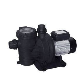 WaterFun Senkron-1 1 Hp 220 V Havuz Pompası