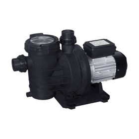 WaterFun Senkron-1 1 Hp 220 V Havuz Pompası