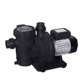WaterFun Senkron-1 1 Hp 220 V Havuz Pompası