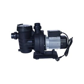 WaterFun Senkron-1 1 Hp 220 V Havuz Pompası