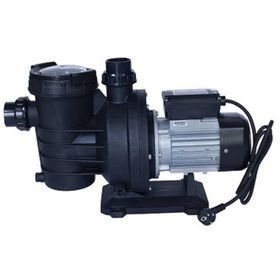 WaterFun Senkron-1 1 Hp 220 V Havuz Pompası