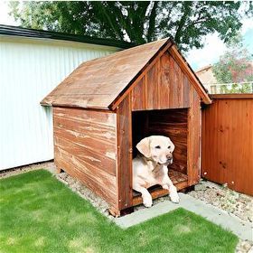 Weblonya Ahşap 2024 Köpek Kulübesi