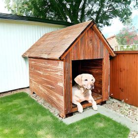 Weblonya Ahşap 2024 Köpek Kulübesi