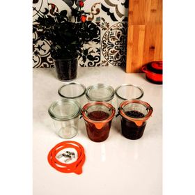 Weck 290 ml Mold 6 adet Uzun Kavanoz Set