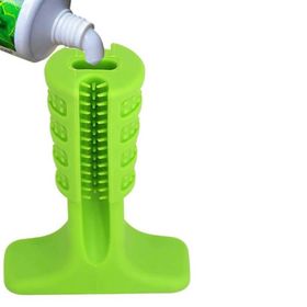 Welfare 9.5 cm Köpek Diş Fırçası ve Çiğneme Aparatı