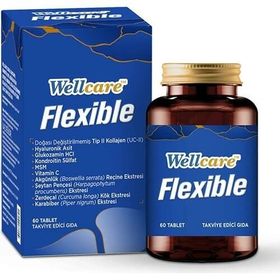 Wellcare Flexible Collagen 60 Tablet