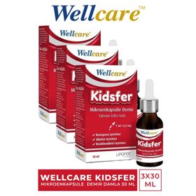 Wellcare Kidsfer Lipozomal Demir 3x30 ml Damla