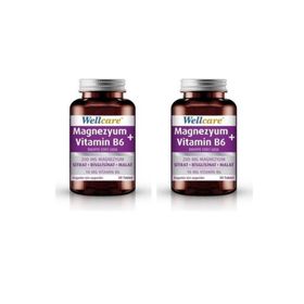 Wellcare Magnezyum Vitamin B6 30 Tablet