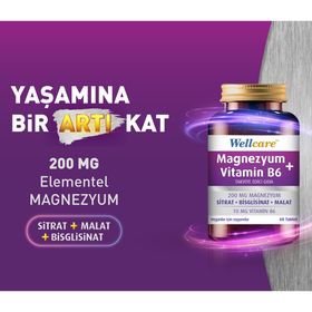 Wellcare Magnezyum Vitamin B6 3x30 Tablet