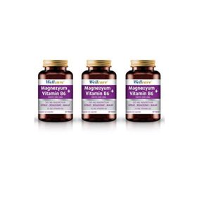 Wellcare Magnezyum Vitamin B6 3x60 Tablet