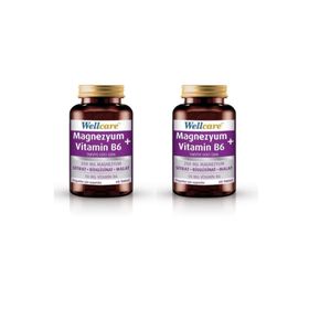Wellcare Magnezyum Vitamin B6 60 Tablet