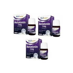 Wellcare Melatonin 3 mg 60 Tablet