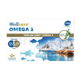 Wellcare Omega-3 1200 mg 30 Kapsül