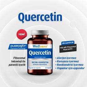 Wellcare Quercetin 100 mg 60 Kapsül