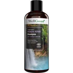 WellGreen 400 ml Organik Sertifikalı Kekik Özlü Yağ Dengeleyici Şampuan