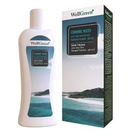 WellGreen Aloe Vera Özlü 250 ml İntim Yıkama