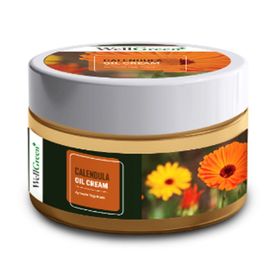 WellGreen Aynısefa Yağı Kremi 100 ml Vücut Nemlendirici