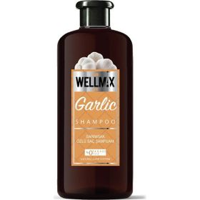 Wellmax Ivy Ginger 500 ml Yeni Formül Sarmaşık Zencefil Özlü Şampuan