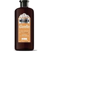 Wellmax Ivy Ginger 500 ml Yeni Formül Sarmaşık Zencefil Özlü Şampuan