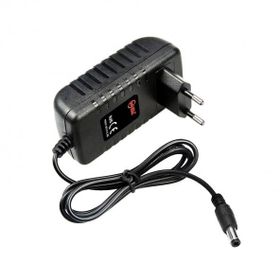 WellPower WP-0602P 6V 2A 5.5x2.5 mm Adaptör