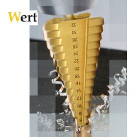 Wert W3500 Kademeli Sac Delme Seti