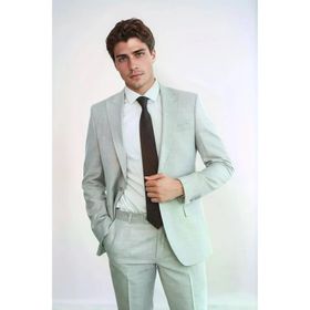 Wessi Açık Gri İki Parça Slim Fit Tek Düğmeli Erkek Takım Elbise