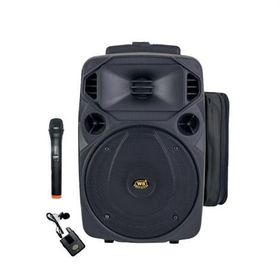West Sound TKS 15 AC 15 inç 300W Taşınabilir Hoparlör
