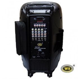 West Sound TKS 15 AC 15 inç 300W Taşınabilir Hoparlör