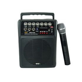 West Sound TKS-6 DC Seyyar Ses Sistemi