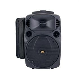 West Sound TKS 8 DC 2x40W 1 EL-1 Yaka Telsiz Mikrofonlu Taşınabilir Hoparlör