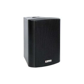 Westa WS-5TB Duvar Hoparlörü