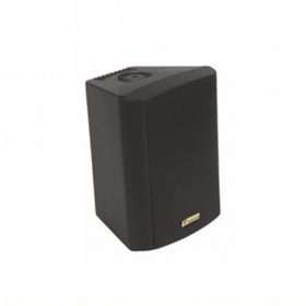 Westa WS-5TB Duvar Hoparlörü